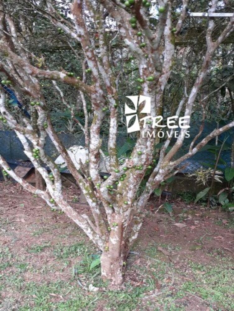 Chácara, 5 quartos, 2130 m² - Foto 14