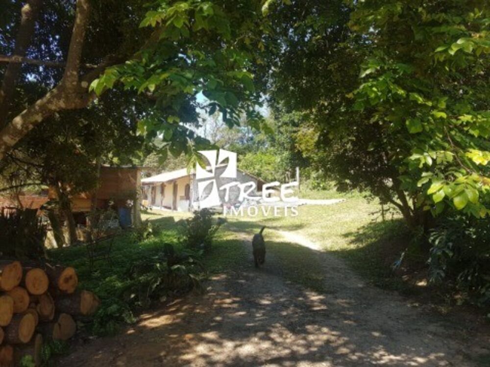 Chácara, 5 quartos, 4300 m² - Foto 15