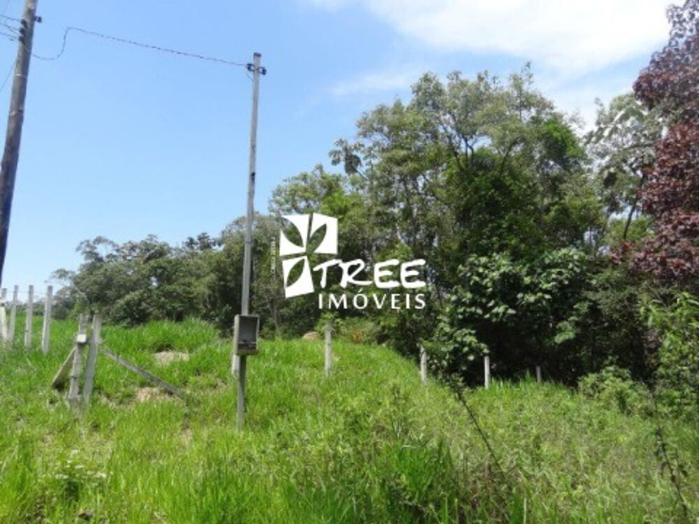 Fazenda, 6 hectares - Foto 7