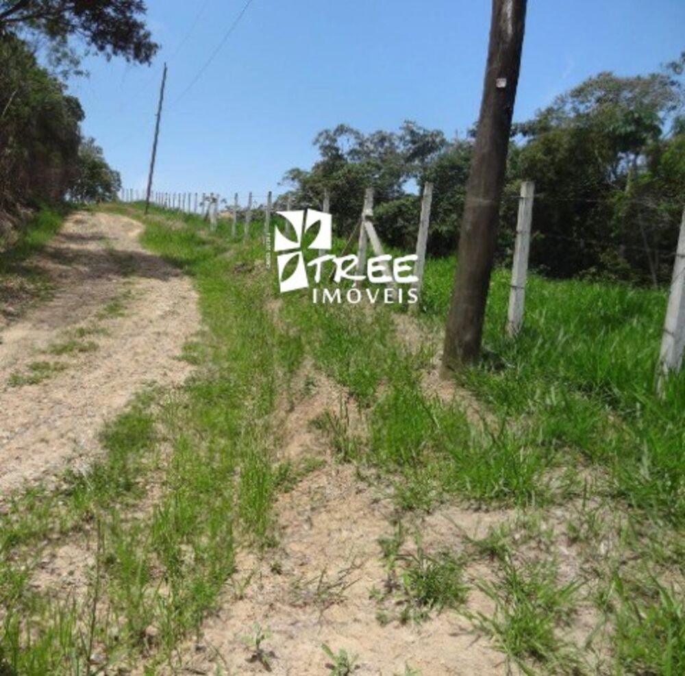 Fazenda, 6 hectares - Foto 6