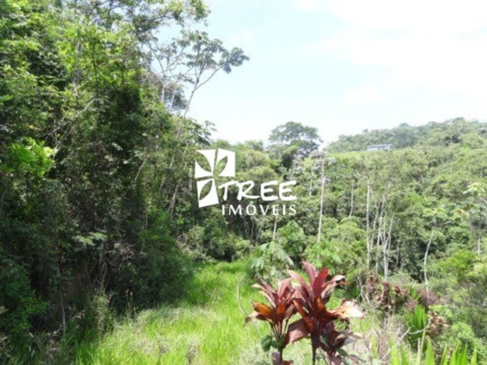Fazenda, 6 hectares - Foto 9