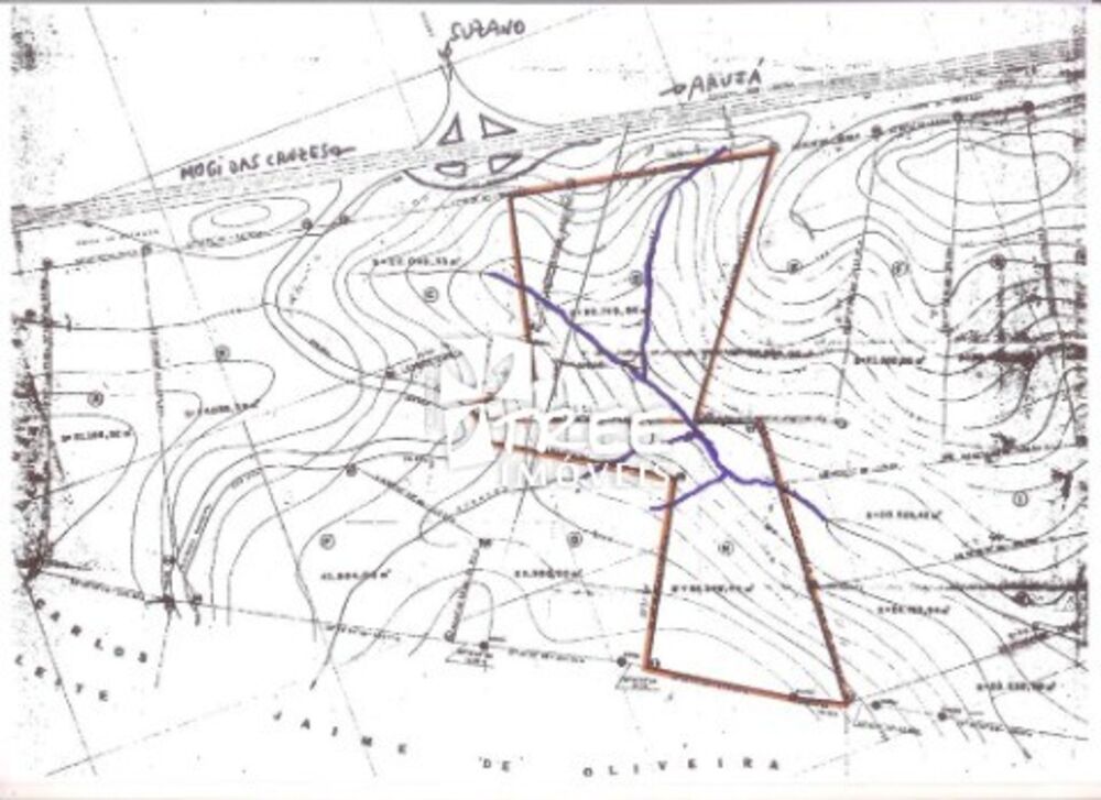 Fazenda, 6 hectares - Foto 3