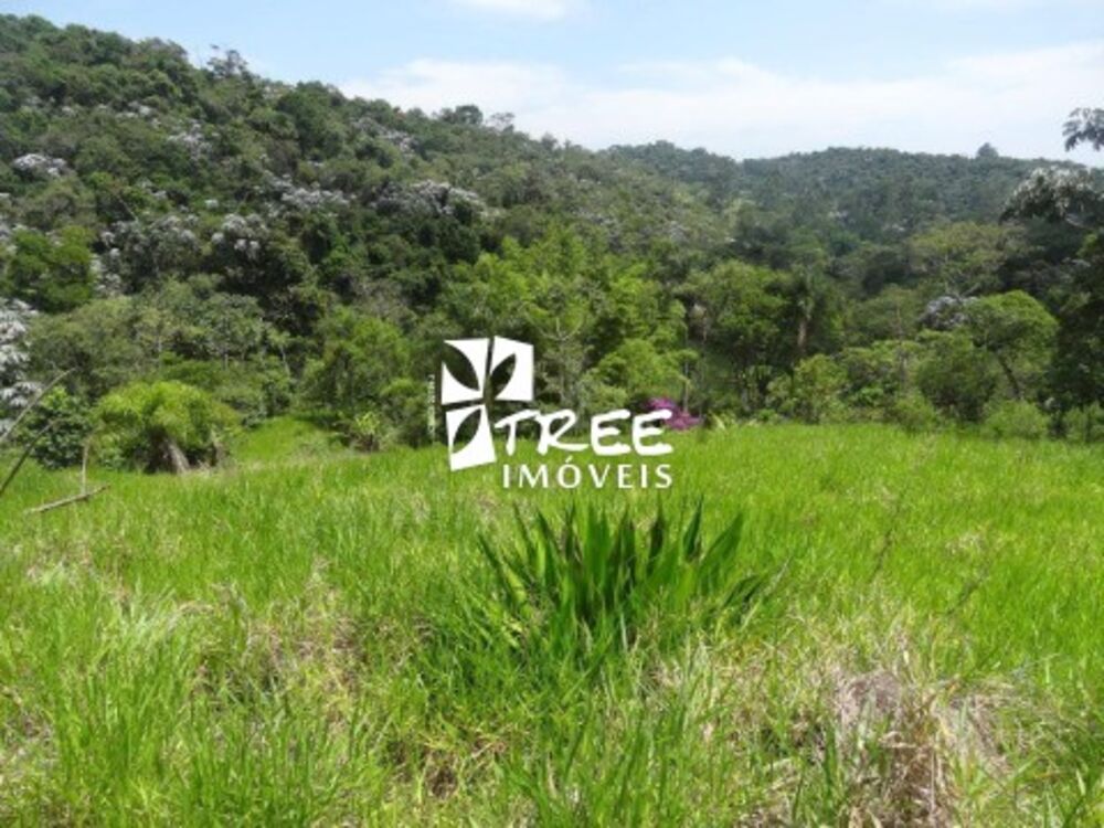 Fazenda, 6 hectares - Foto 8