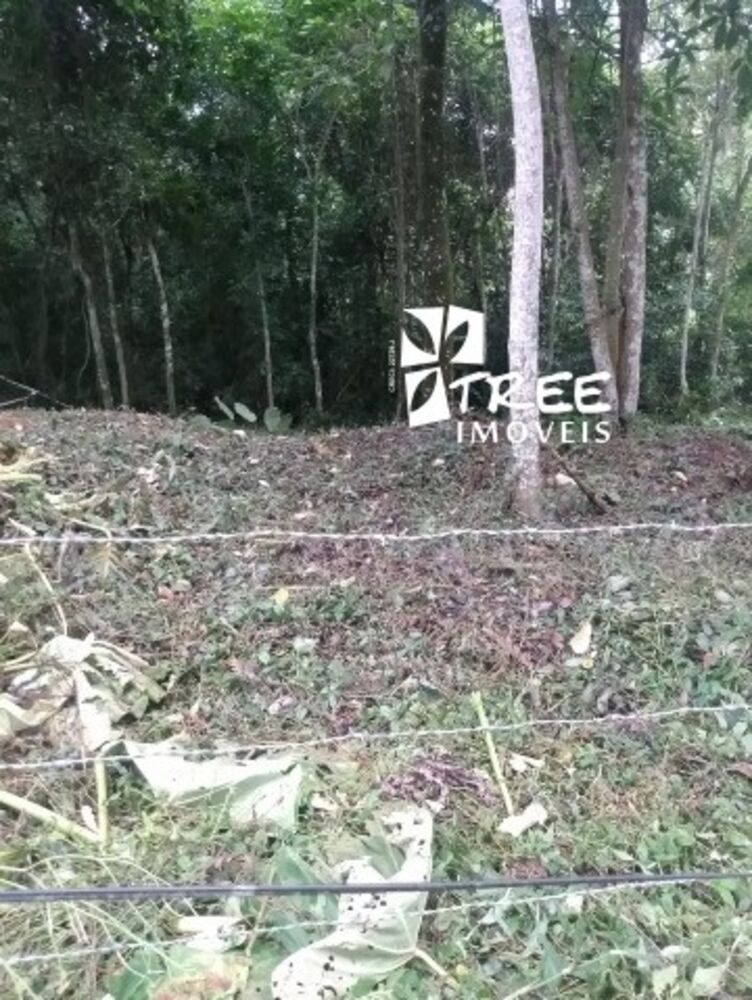 Terreno, 4000 m² - Foto 1