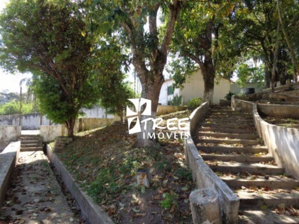 Chácara, 6000 m² - Foto 4