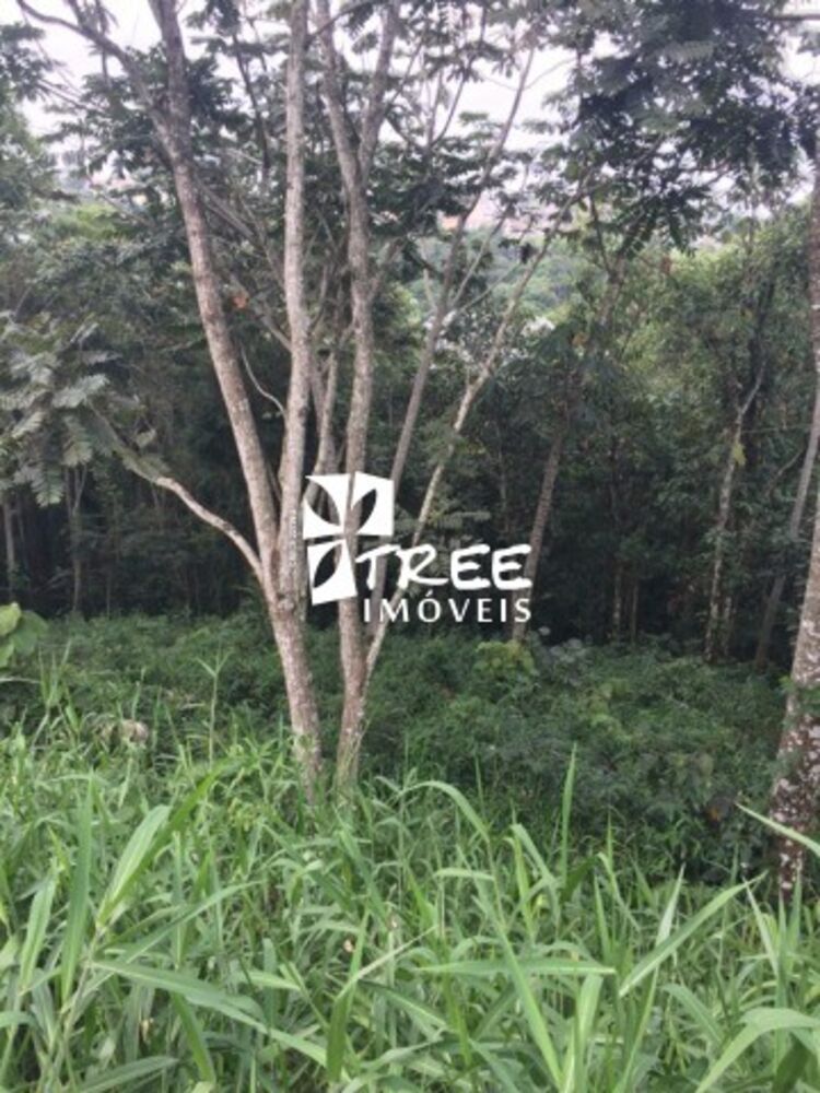 Terreno, 450 m² - Foto 1