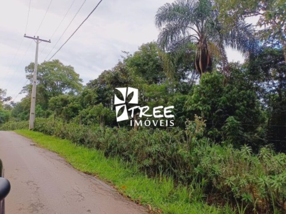 Terreno, 1269 m² - Foto 6