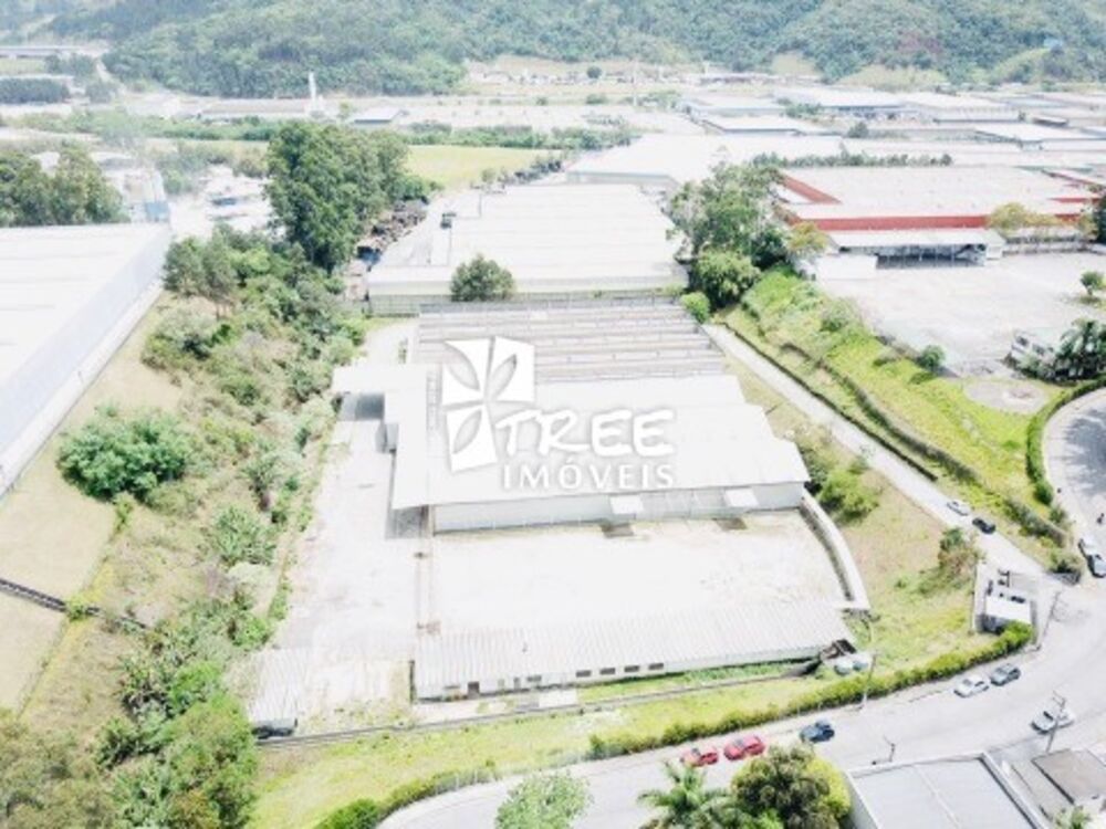 Depósito-Galpão, 7669 m² - Foto 4