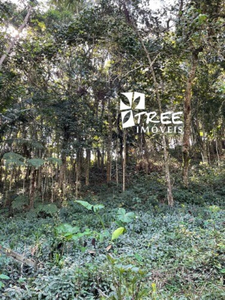 Terreno, 1200 m² - Foto 2