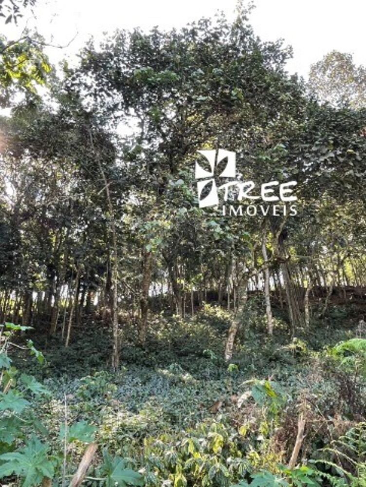 Terreno, 1200 m² - Foto 3