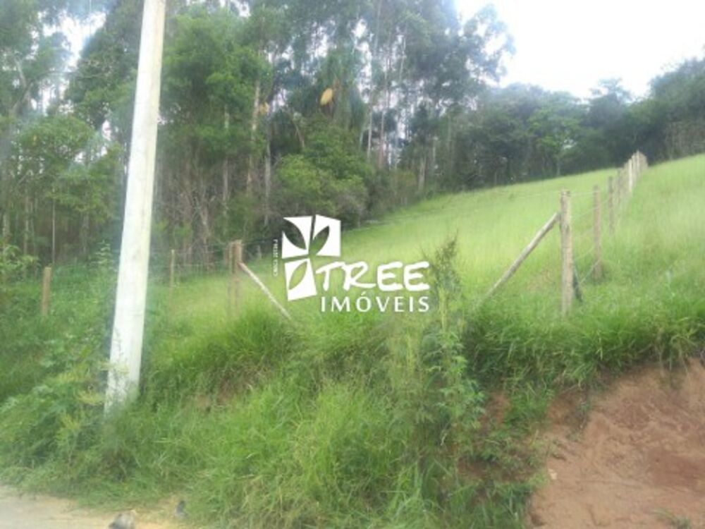 Terreno, 2100 m² - Foto 5