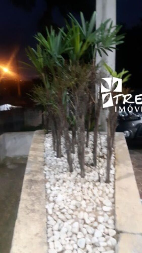 Chácara, 3 quartos, 1300 m² - Foto 7