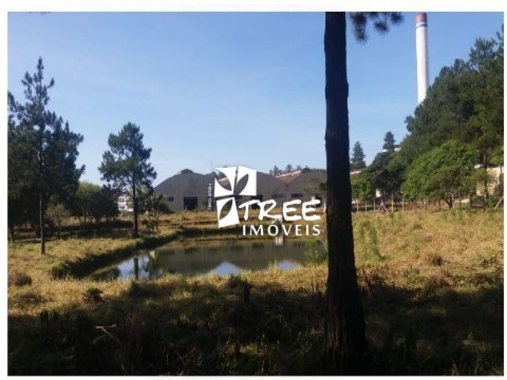 Depósito-Galpão, 9000 m² - Foto 3