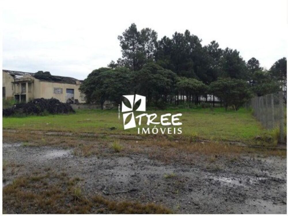 Depósito-Galpão, 9000 m² - Foto 6