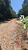 Terreno, 1206 m² - Foto 3