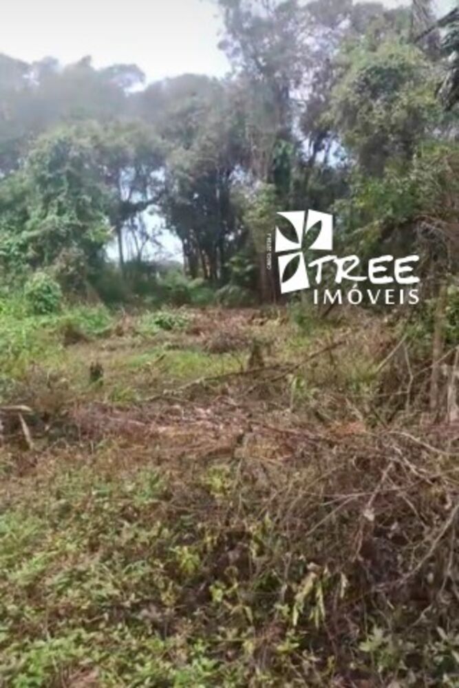 Terreno, 300 m² - Foto 2