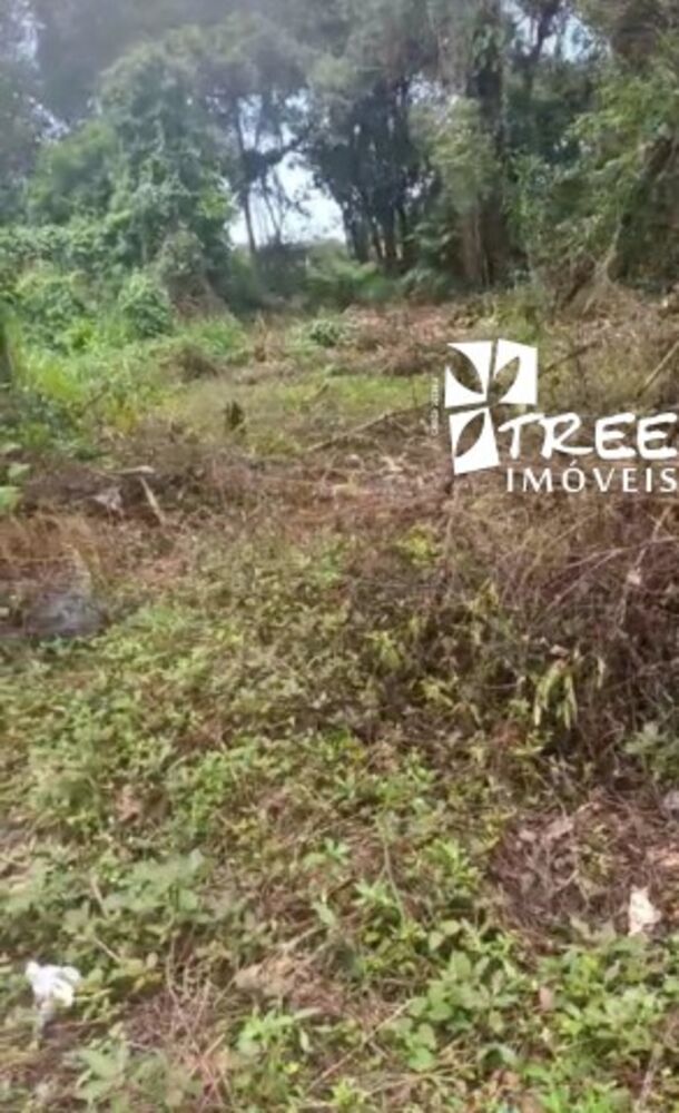 Terreno, 300 m² - Foto 1