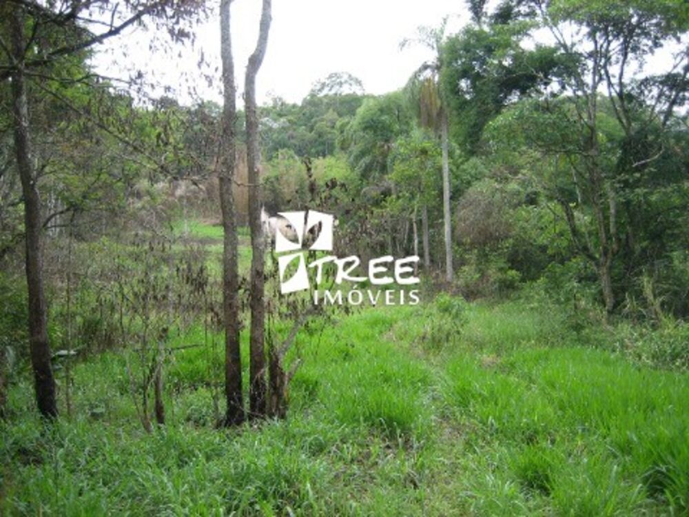Terreno, 18 hectares - Foto 3