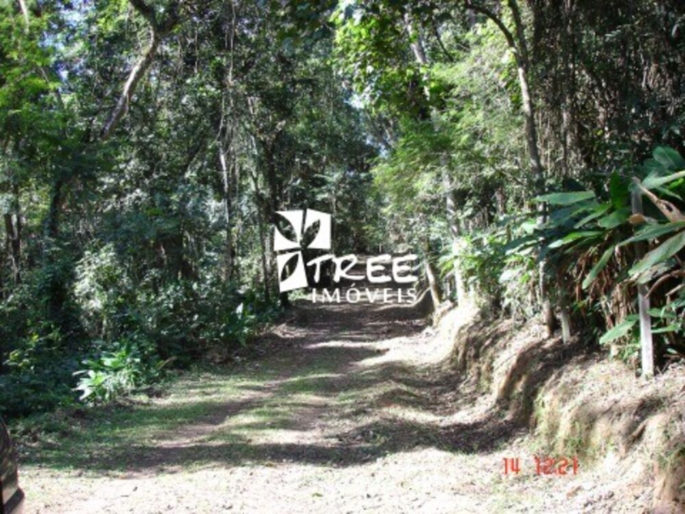 Terreno, 18 hectares - Foto 6