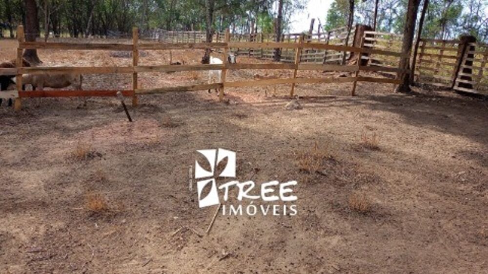 Chácara, 3 quartos, 3200 m² - Foto 7