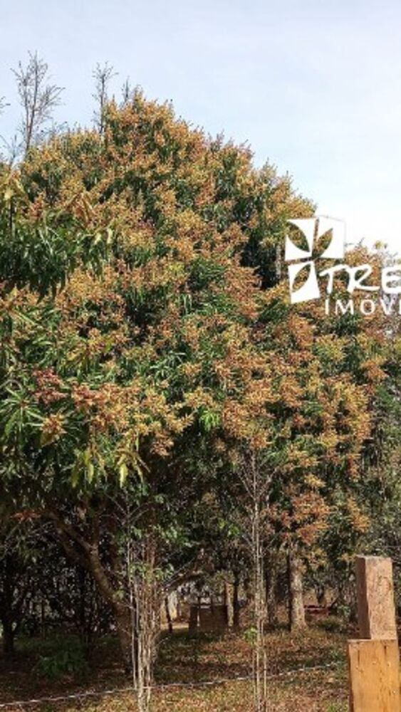 Chácara, 3 quartos, 3200 m² - Foto 6