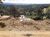 Terreno, 500 m² - Foto 2