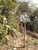 Terreno, 500 m² - Foto 4