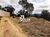 Terreno, 500 m² - Foto 3