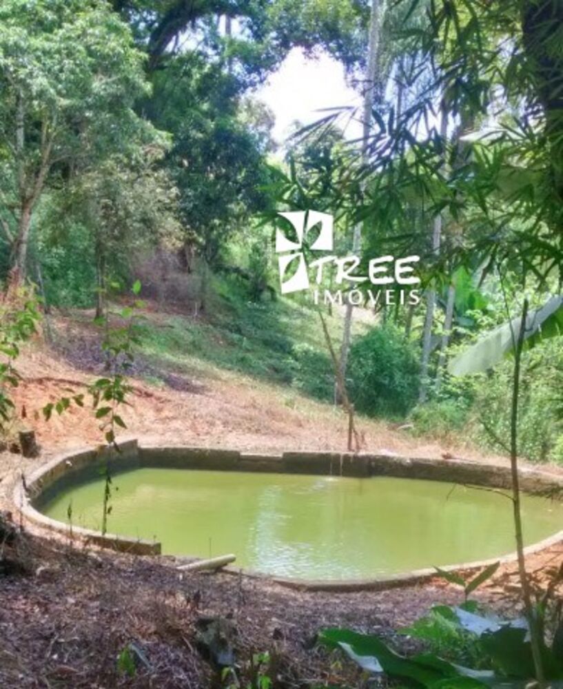 Chácara, 6 quartos, 7000 m² - Foto 15