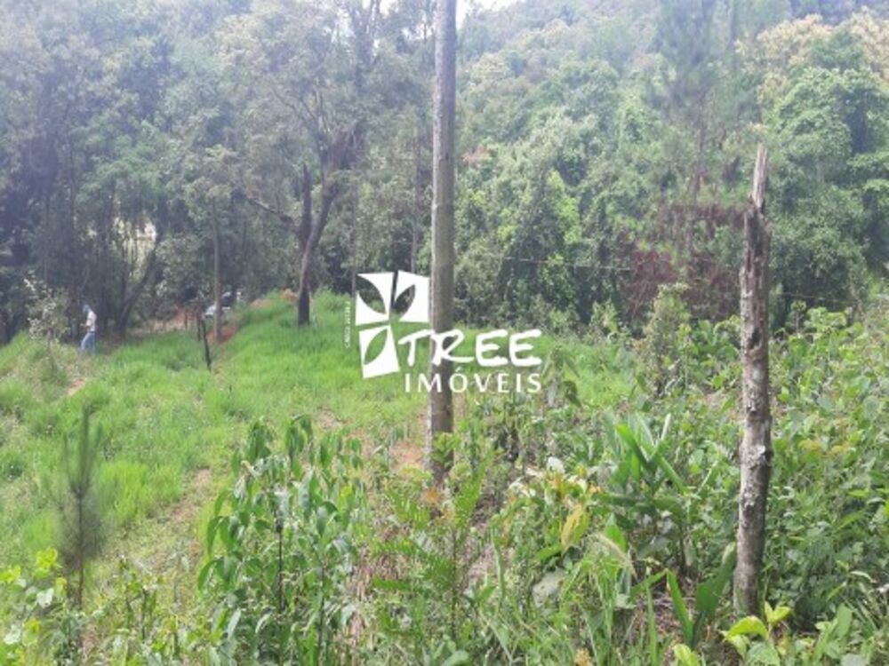 Terreno, 5470 m² - Foto 4