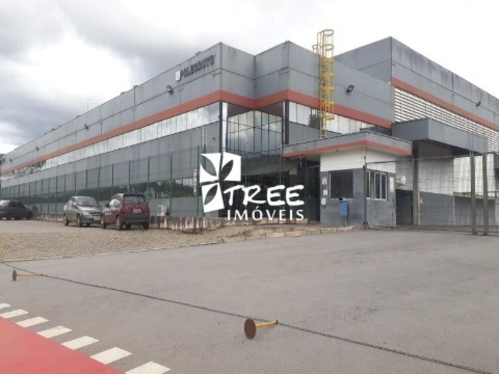 Terreno, 5 hectares - Foto 4