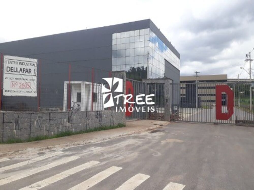 Terreno, 5 hectares - Foto 6