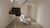 Casa, 3 quartos, 112 m² - Foto 3