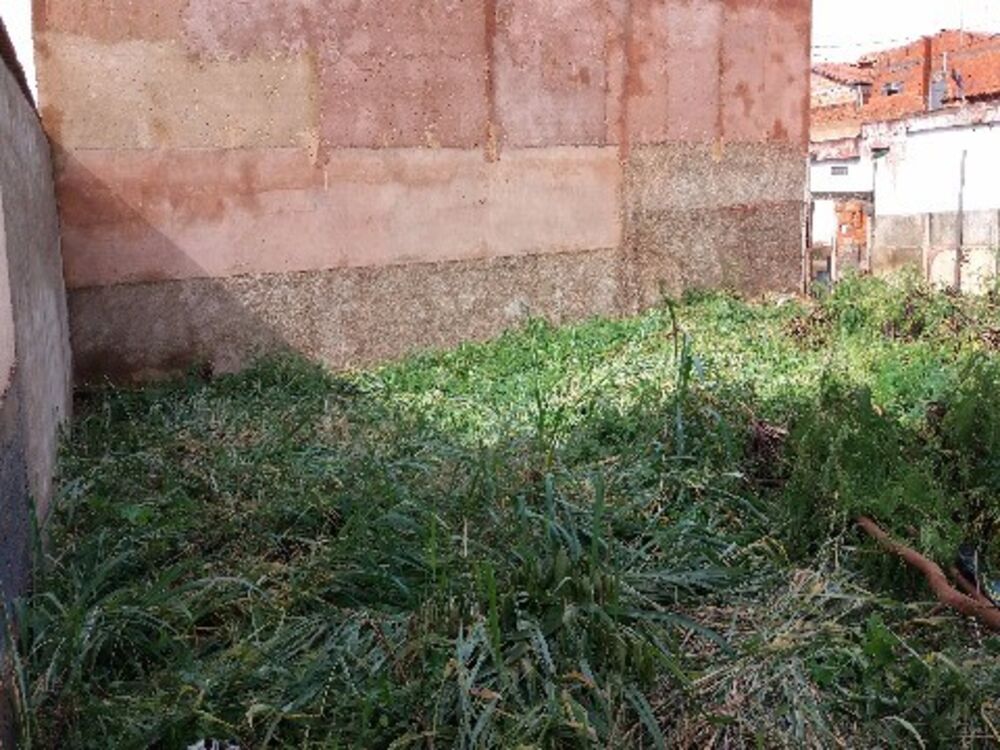 Terreno, 259 m² - Foto 2