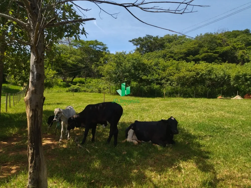 Chácara, 5 quartos, 7 hectares - Foto 3