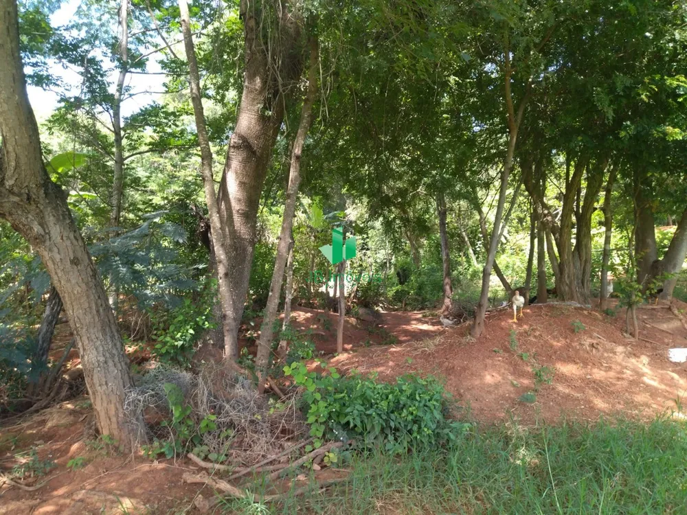 Chácara, 5 quartos, 7 hectares - Foto 6