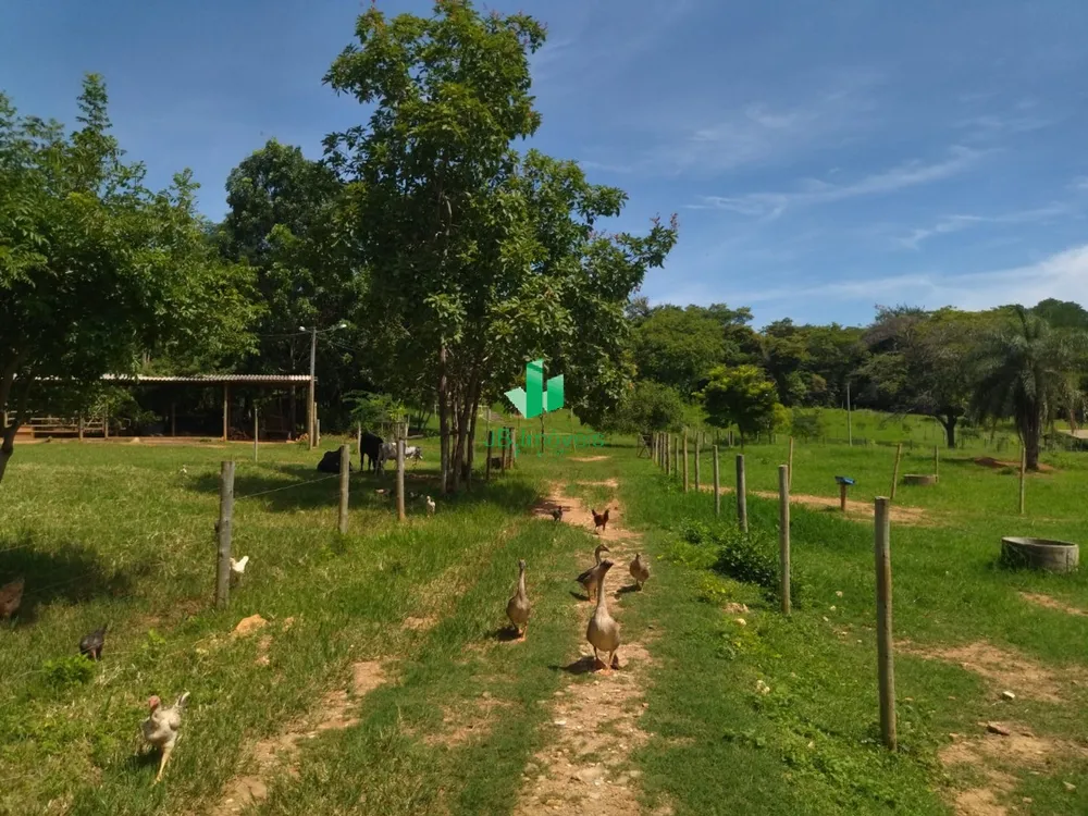 Chácara, 5 quartos, 7 hectares - Foto 1
