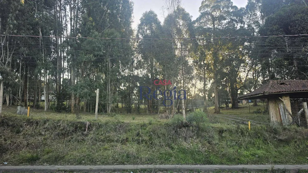 Loteamento e Condomínio, 360 m² - Foto 6