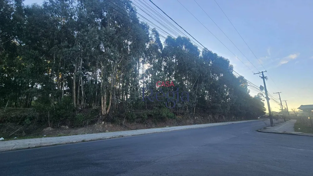 Loteamento e Condomínio, 360 m² - Foto 8