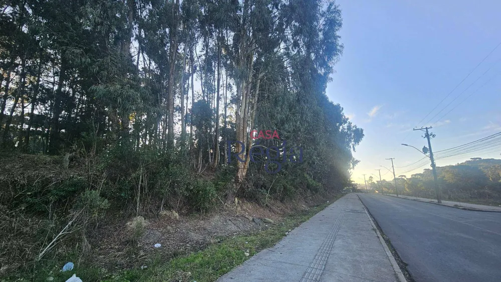 Loteamento e Condomínio, 360 m² - Foto 7