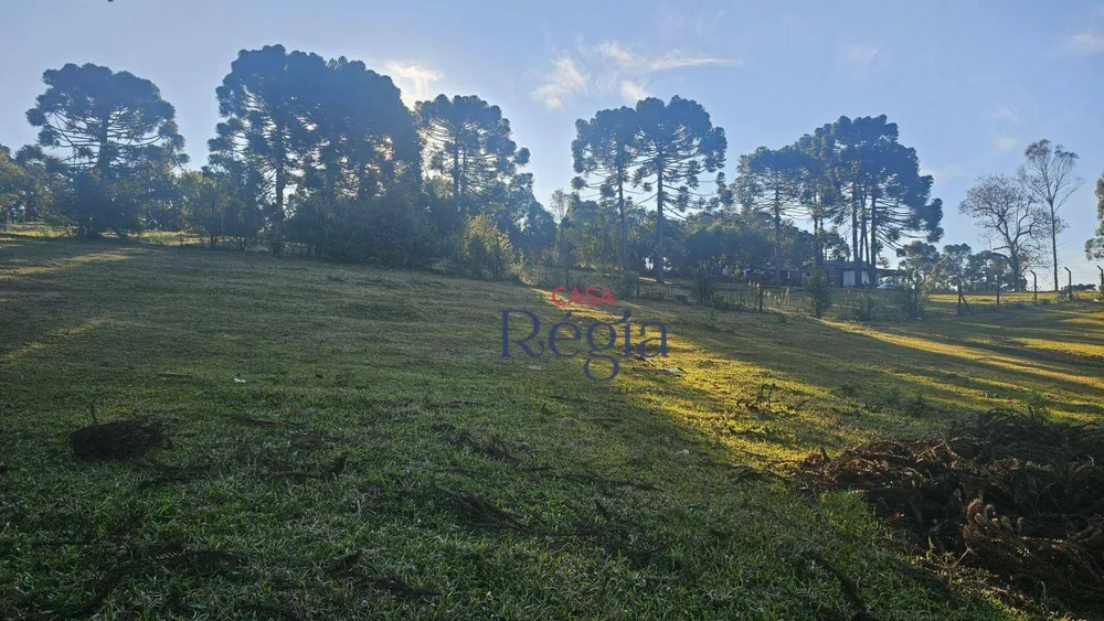 Loteamento e Condomínio, 360 m² - Foto 4