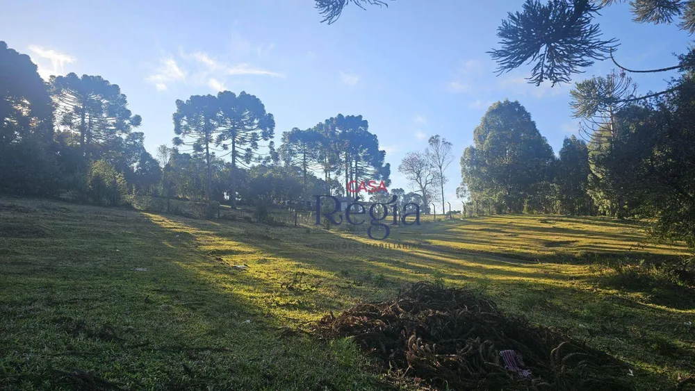 Loteamento e Condomínio, 360 m² - Foto 3