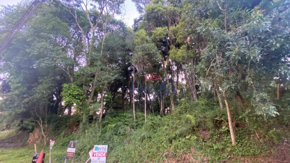 Terreno, 1250 m² - Foto 1