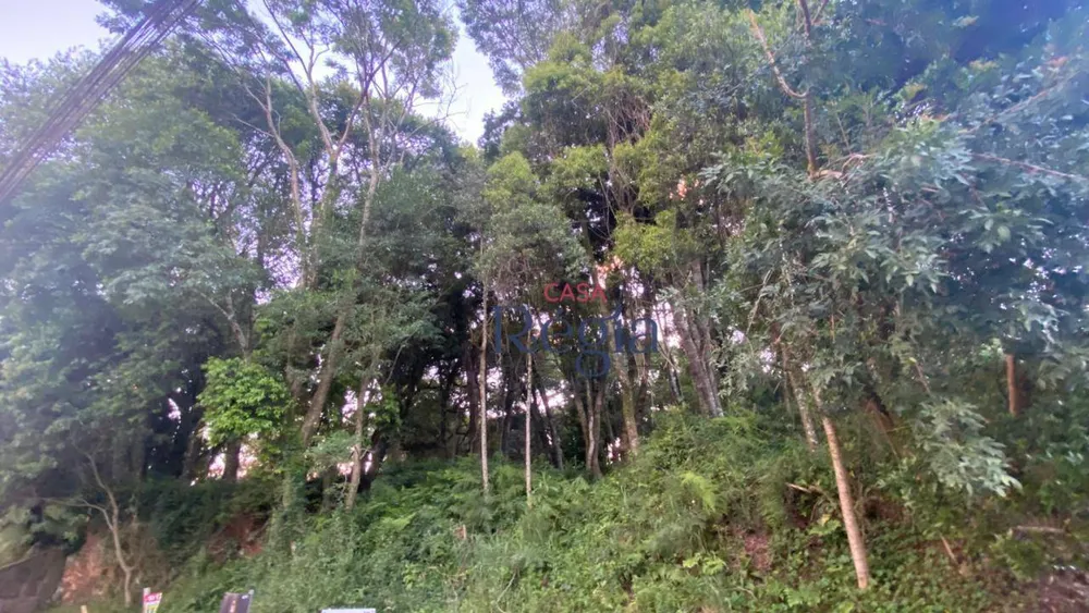 Terreno, 1250 m² - Foto 2