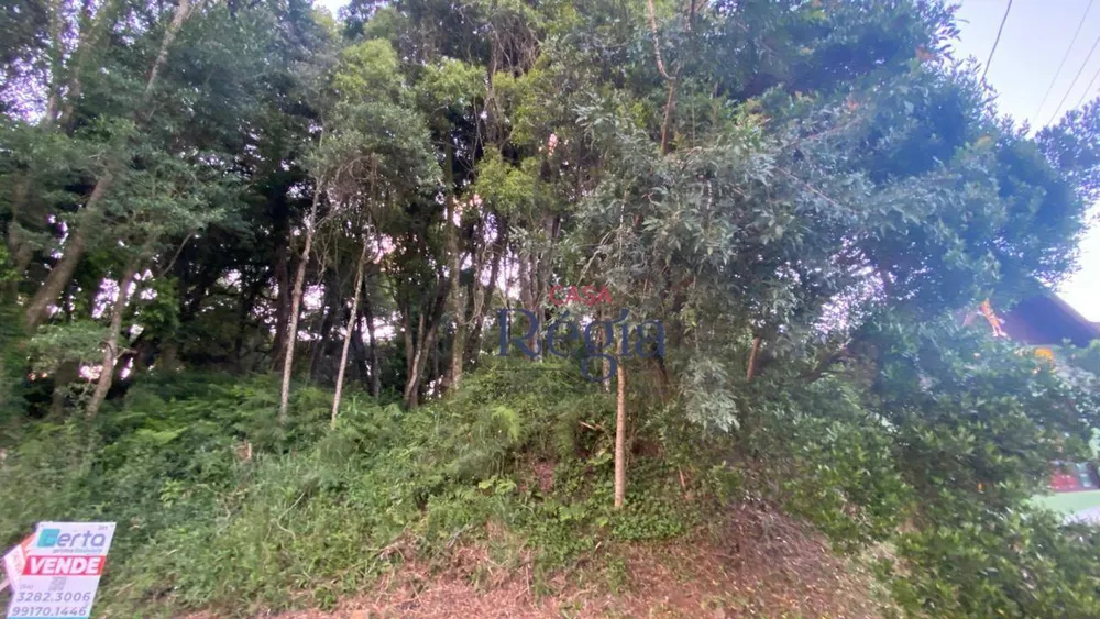 Terreno, 1250 m² - Foto 11