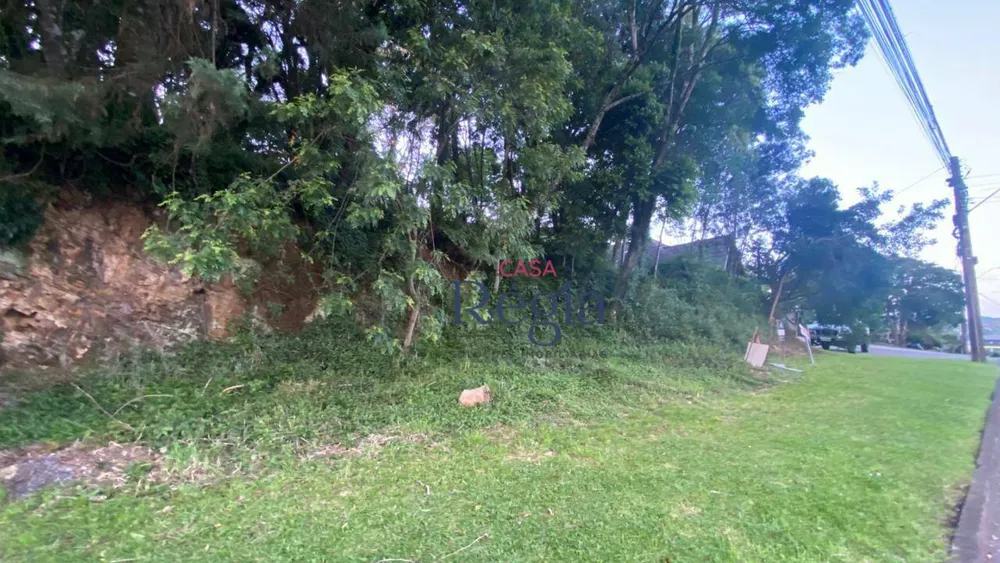 Terreno, 1250 m² - Foto 6