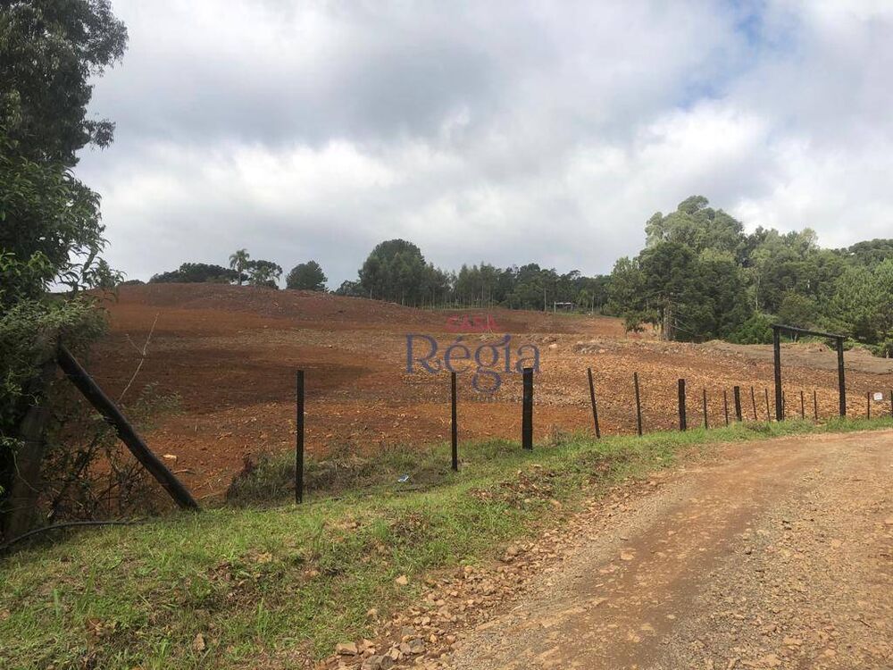 Sítio, 5620 m² - Foto 1