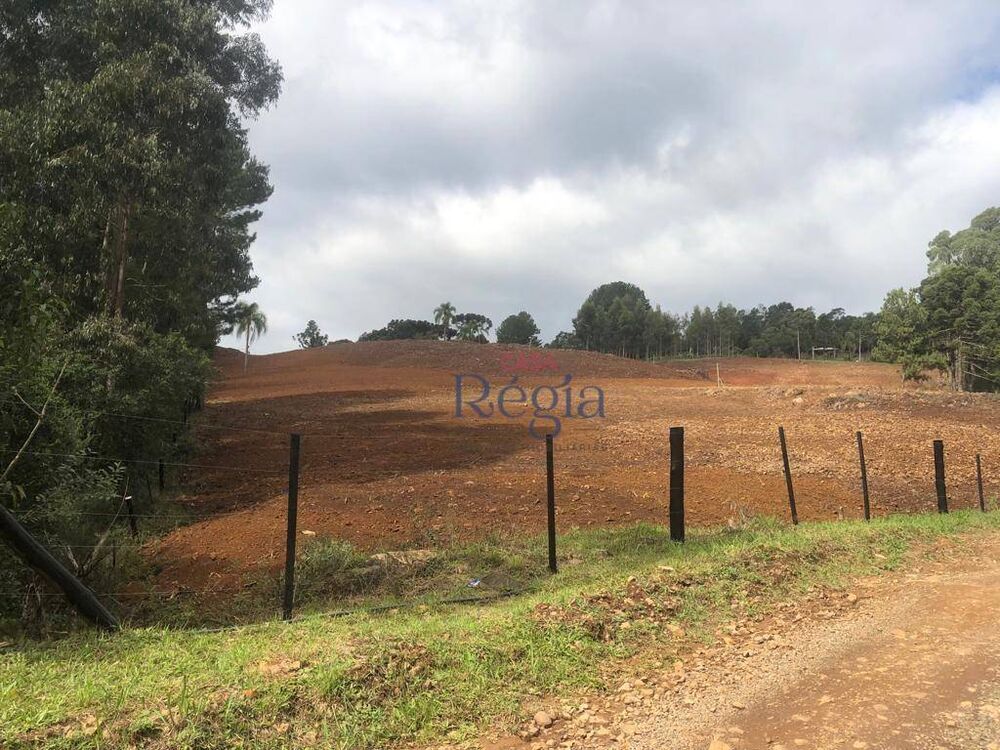 Sítio, 5620 m² - Foto 2