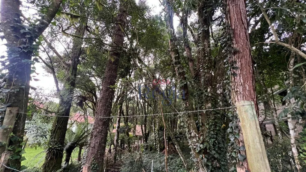 Terreno, 640 m² - Foto 6