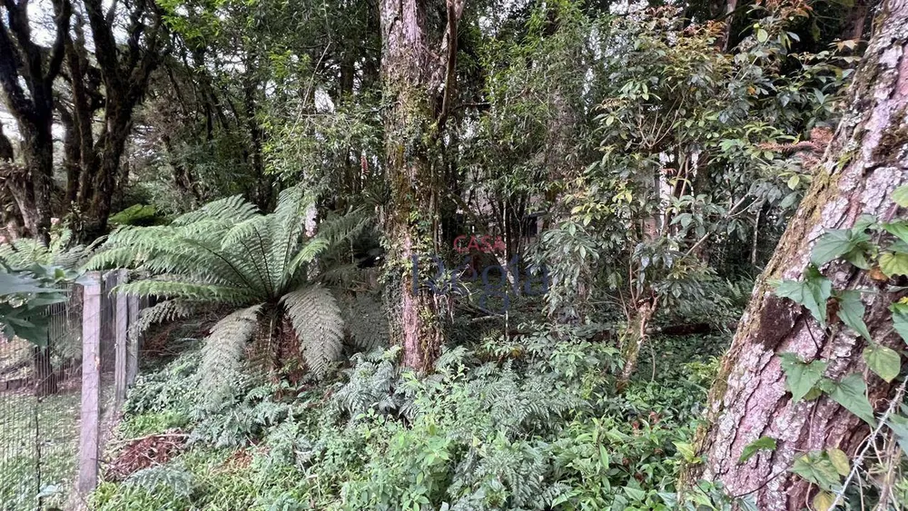 Terreno, 640 m² - Foto 1